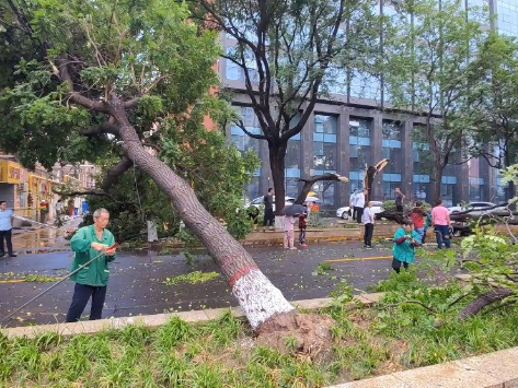 暴雨后的石家庄