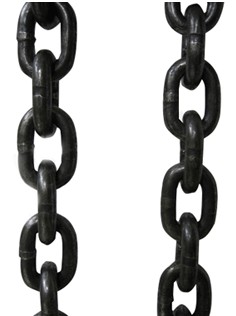 起重草莓视频网页版污实物图