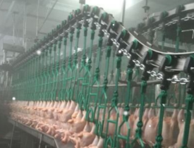 矿用刮板机草莓视频网页版污